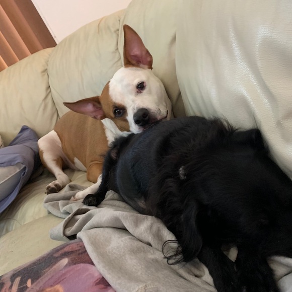 Meet your Posher, Sue - Picture 5 of 11